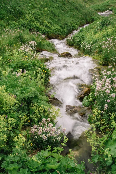 The source of the Molochka river is the Lagonaki plateau, flowing into the Kurjips.