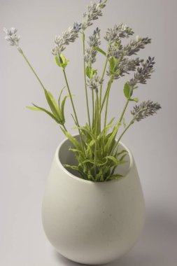 Dairede kapalı güzel bir çiçek