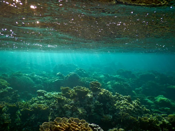 Increíble arrecife de coral al amanecer — Foto de Stock