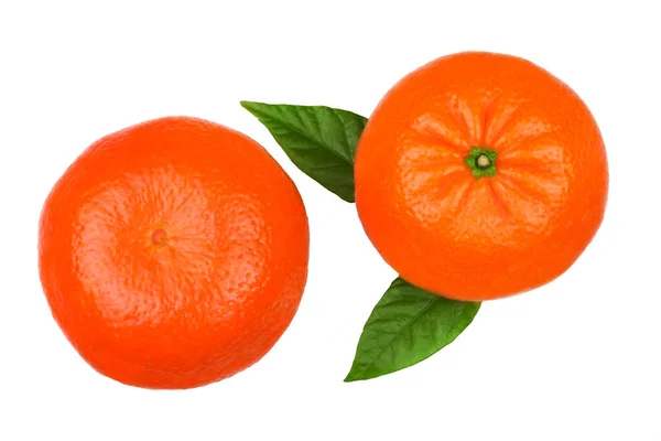 Tangerinas Com Folhas Isoladas Sobre Fundo Branco — Fotografia de Stock