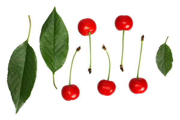 Berries Dan Daun Ceri Terisolasi Pada Latar Belakang Putih — Stok Foto