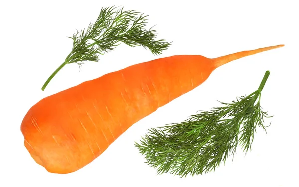 Морква Кріп Ізольовані Білому Тлі — стокове фото