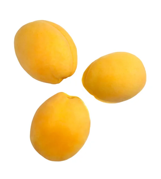 Yellow Apricots Isolated White Background — Stock Photo, Image