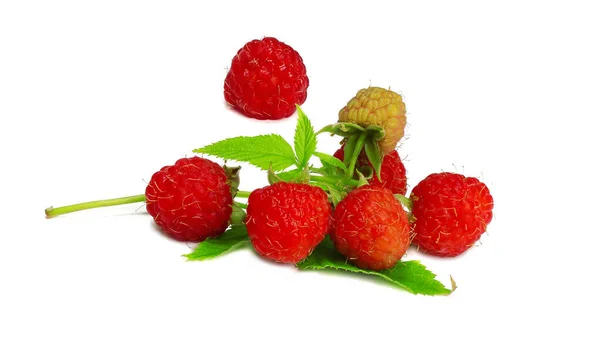 Framboises Rouges Isolées Sur Fond Blanc — Photo