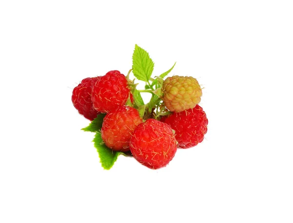 Red Raspberry Diisolasi Latar Belakang Putih — Stok Foto