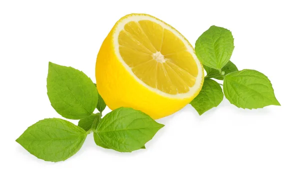 Lemon Dengan Daun Terisolasi Pada Latar Belakang Putih — Stok Foto