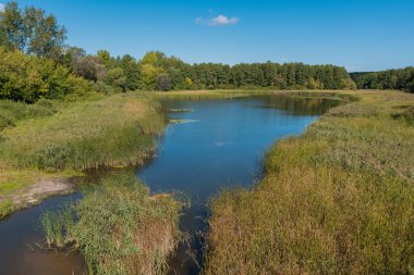 Mavi göl yeşil sazlıkların arasında