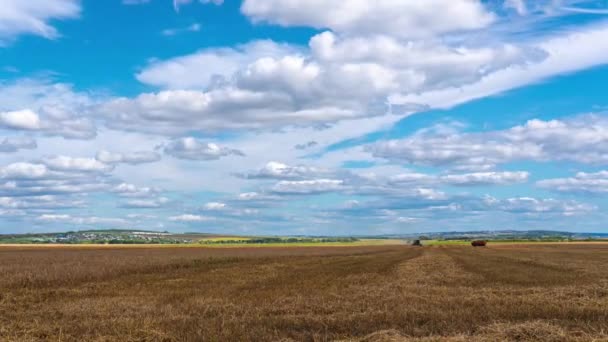 タイムラプスの収穫者は小麦を収穫し — ストック動画