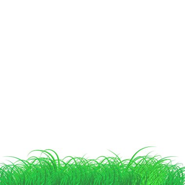 Vektör yeşil büyük çimen dokusu çerçevesi izole edilmiş Şeffaf arkaplan