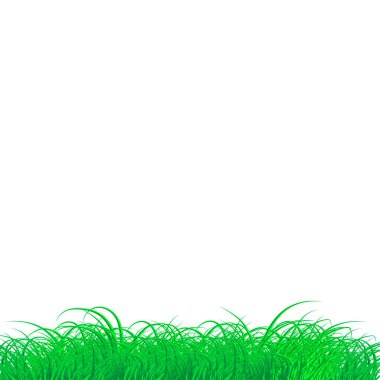 Vektör yeşil büyük çimen dokusu çerçevesi izole edilmiş Şeffaf arkaplan