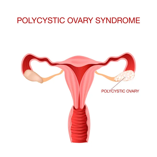 Gerçekçi iç organ taşıyıcı tasarım çizimi