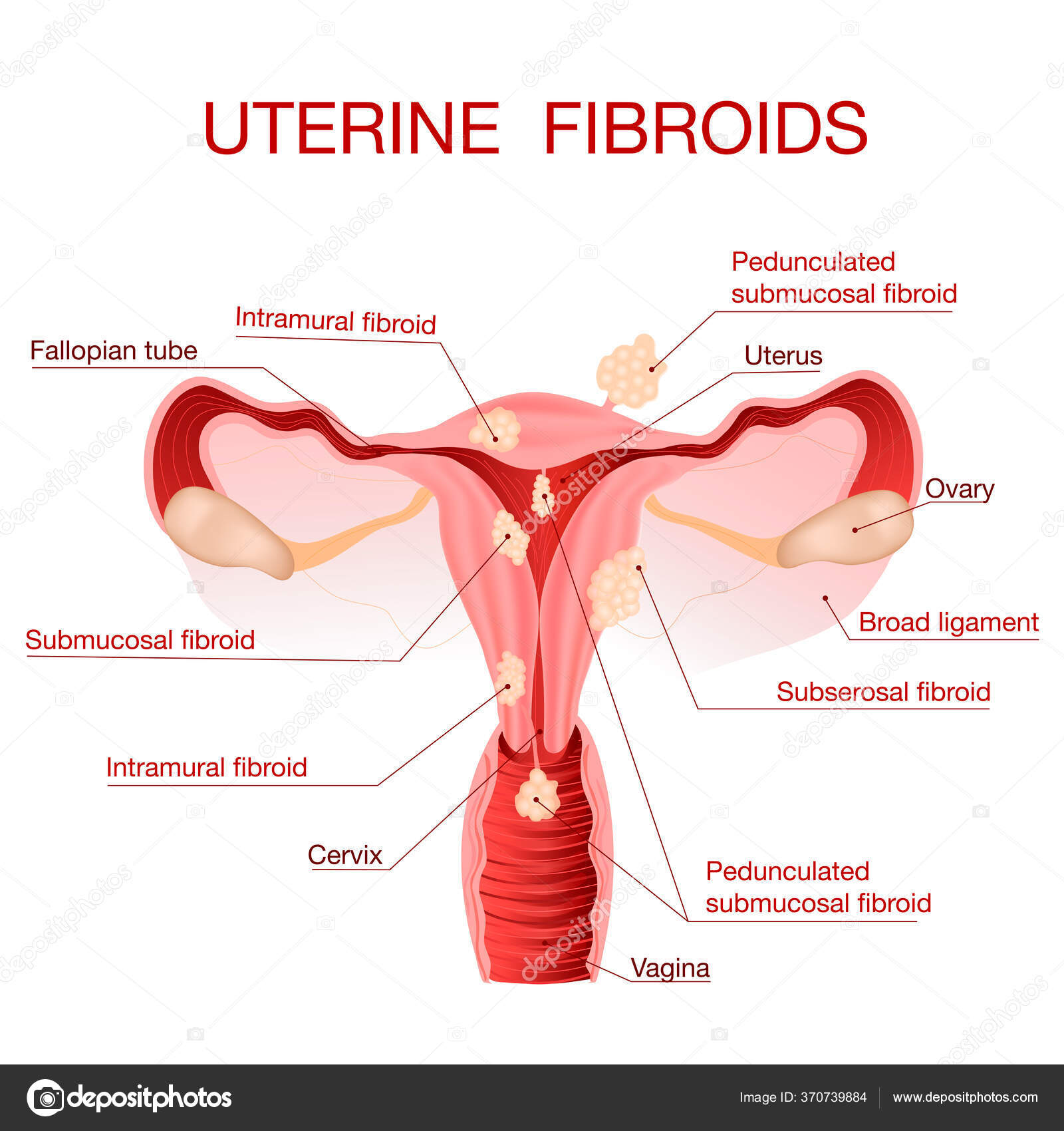 Anastasiya Melnikovaning barcha porno fotosuratlari