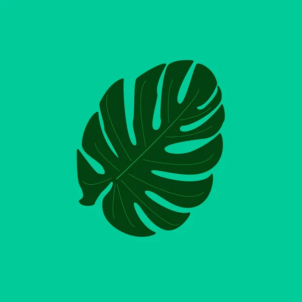 Tropic, monstera deliciosa, vector — 스톡 벡터