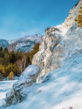 Dağın arka planında renkli manzaralarla çevrili renkli bir orman, kış arkaplanı...