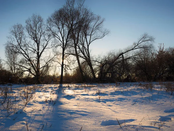 Günbatımının ılık kış manzarası. Mavi gökyüzü.