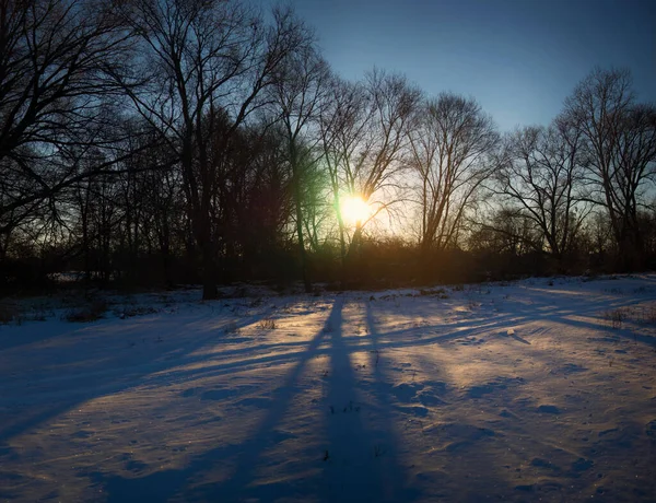 Panoramico Caldo Paesaggio Invernale Del Tramonto Cielo Blu — Foto Stock