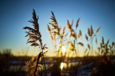 Günbatımının ılık kış manzarası Mavi gökyüzü