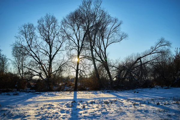 Günbatımının ılık kış manzarası Mavi gökyüzü