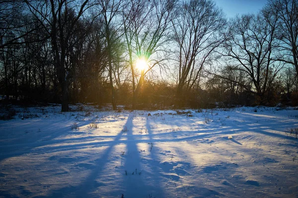 Paysage Hivernal Chaud Coucher Soleil Ciel Bleu — Photo