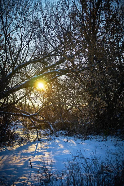 Paysage Hivernal Chaud Coucher Soleil Ciel Bleu — Photo