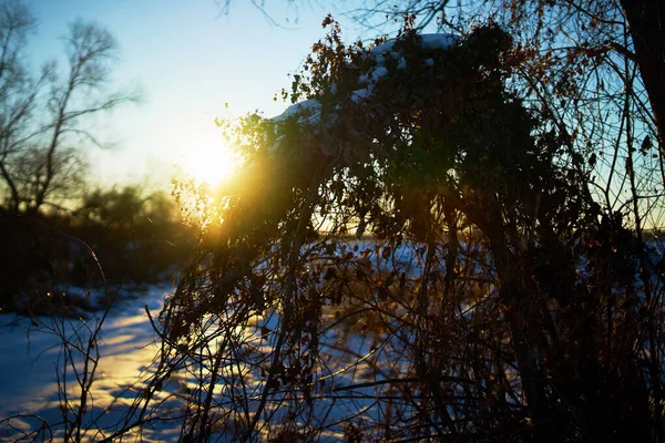 Paysage Hivernal Chaud Coucher Soleil Ciel Bleu — Photo