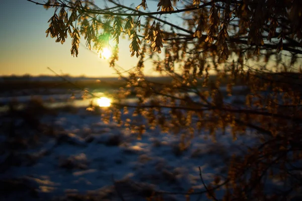 Paysage Hivernal Chaud Coucher Soleil Ciel Bleu — Photo