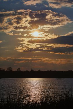 Dikey fotoğraf Güzel gün batımı Mavi gökyüzü ağaçları ve su ön planda