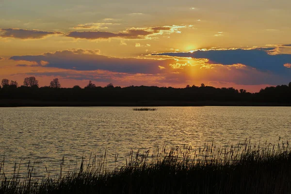 Прекрасний Захід Сонця Блакитними Небо Деревами Водою Передньому Плані Стокове Фото