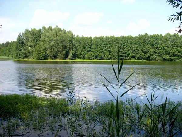 Południowy Czechy Jezioro Bohemia — Zdjęcie stockowe