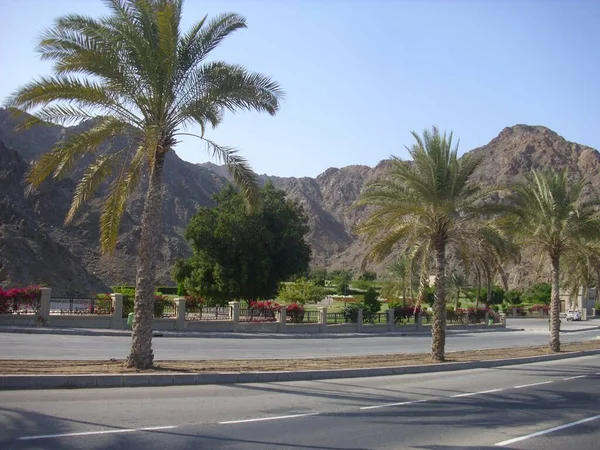 Oman Muscat Felsige Hauptstadt Meer — Stockfoto