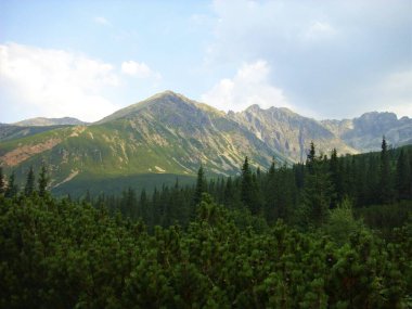 Polonya 'daki Tatra Ulusal Parkı