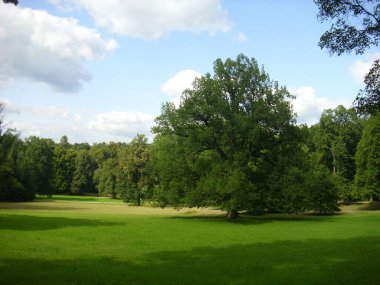 Orta Avrupa 'da park