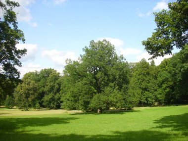 Orta Avrupa 'da park