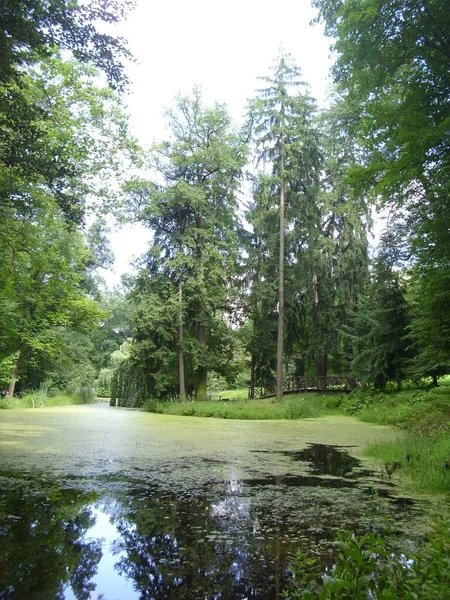 Park Europie Środkowej — Zdjęcie stockowe