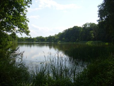 Trebon gölet sistemi - sihirli gölet manzarası, Güney Çeçenistan 'daki su baskını ormanları