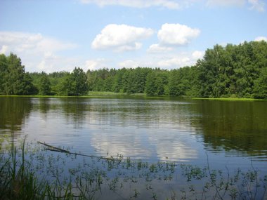 Trebon gölet sistemi - sihirli gölet manzarası, Güney Çeçenistan 'daki su baskını ormanları