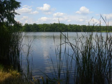 Trebon gölet sistemi - sihirli gölet manzarası, Güney Çeçenistan 'daki su baskını ormanları