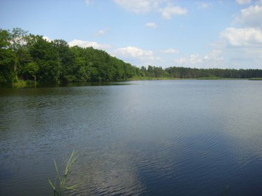 Trebon gölet sistemi - sihirli gölet manzarası, Güney Çeçenistan 'daki su baskını ormanları