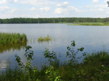 Trebon gölet sistemi - sihirli gölet manzarası, Güney Çeçenistan 'daki su baskını ormanları