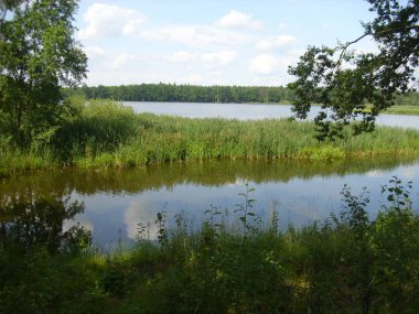 Trebon gölet sistemi - sihirli gölet manzarası, Güney Çeçenistan 'daki su baskını ormanları