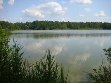 Trebon gölet sistemi - sihirli gölet manzarası, Güney Çeçenistan 'daki su baskını ormanları