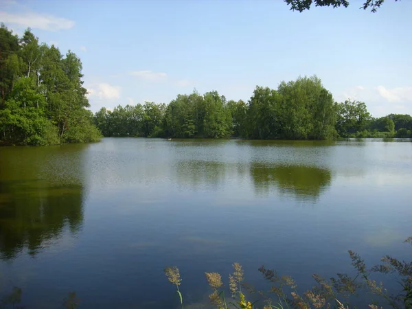 Sistema Stagno Trebon Paesaggio Magico Stagni Foreste Alluvionali Nella Czechia — Foto Stock