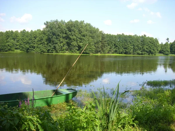 Trebon Pond System Μαγικό Τοπίο Των Λιμνών Πλημμυρισμένα Δάση Στη — Φωτογραφία Αρχείου