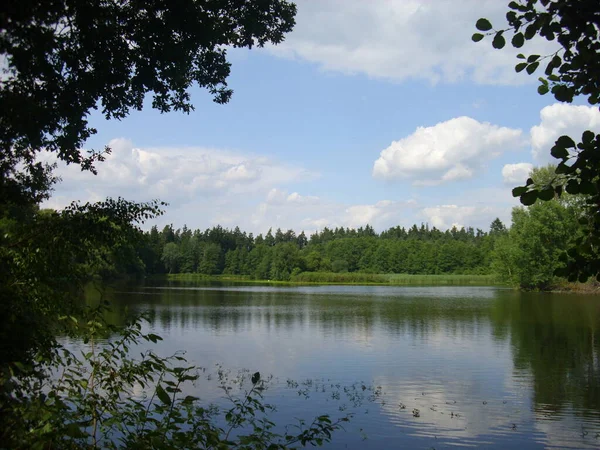 Sistema Stagno Trebon Paesaggio Magico Stagni Foreste Alluvionali Nella Czechia — Foto Stock