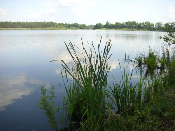Trebon Pond System Magical Landscape Ponds Floodplain Forests South Czechia — Stock Photo, Image