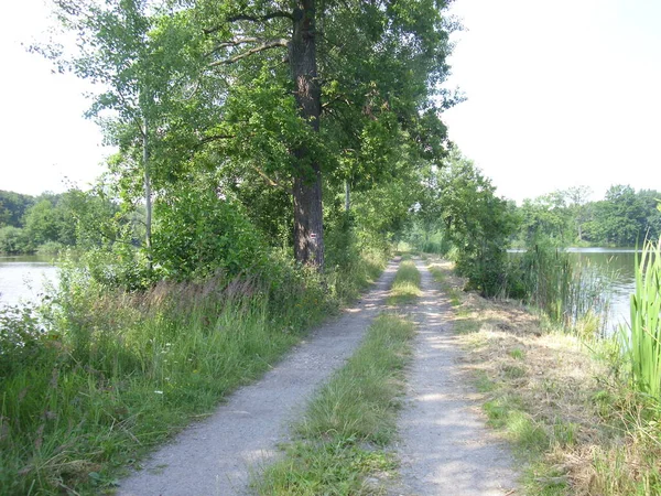 Trebon Vijver Systeem Magisch Landschap Van Vijvers Uiterwaarden Bossen Zuid — Stockfoto