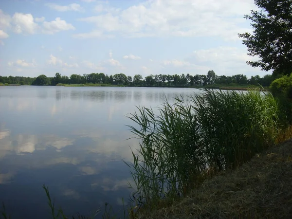 トレボン池システム 南チェコの池 氾濫原の森林の魔法の風景 — ストック写真
