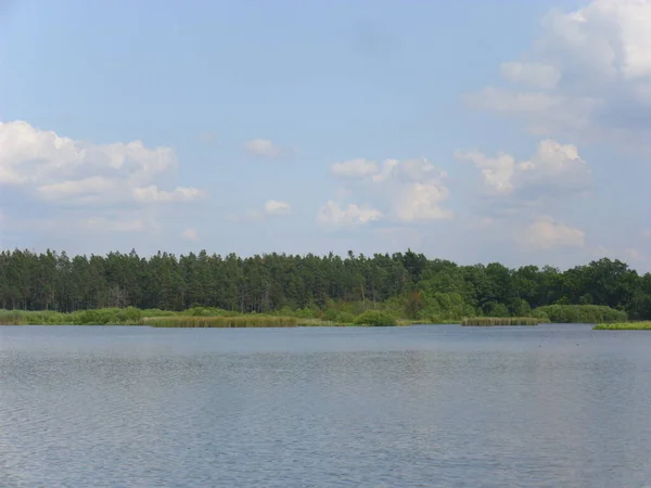 Sistema Stagno Trebon Paesaggio Magico Stagni Foreste Alluvionali Nella Czechia — Foto Stock