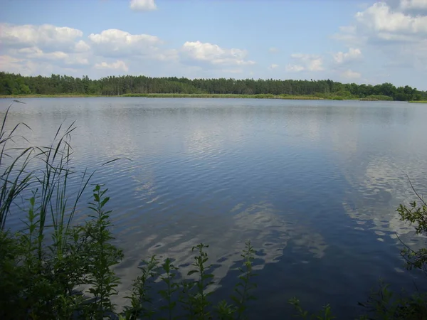 Требон Ставок Магічний Ландшафт Ставків Повеней Лісів Південній Частині Чехії — стокове фото