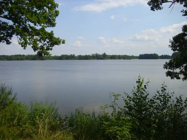 Système Étangs Trebon Paysage Magique Étangs Forêts Plaines Inondables Dans — Photo